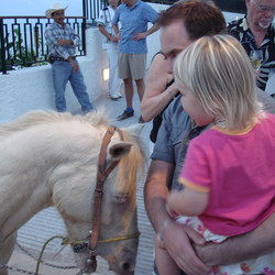 pony-at-dinner_3225808325_o.jpg