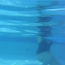 shark-view_3226518320.mov